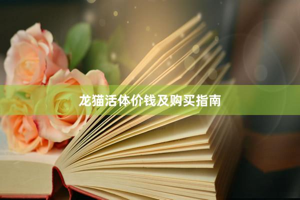 龙猫活体价钱及购买指南