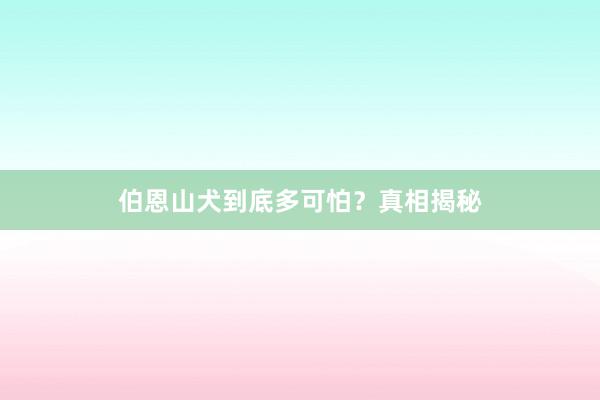 伯恩山犬到底多可怕？真相揭秘